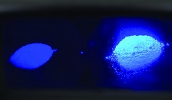 熒光增白劑是熒光劑嗎？一篇看懂兩者關(guān)系